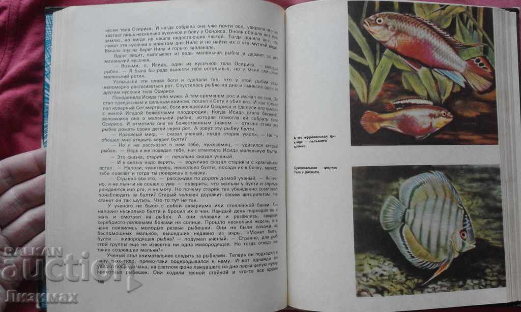 Entertaining aquarium - M. Mahlin - 5