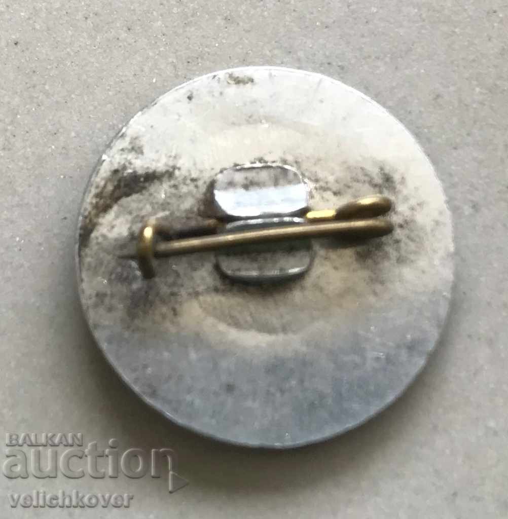 29274 Bulgaria sign center TNTM Levski region with price 3.00 BGN | € 1.53