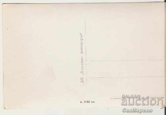 Map Bulgaria Pamporovo (Letoviste "V.Kolarov) Overview6 with price 1.90 BGN | € 0.97 Map Bulgaria Pamporovo (Letoviste "V.Kolarov) Overview6 with price 1.90 BGN | € 0.97