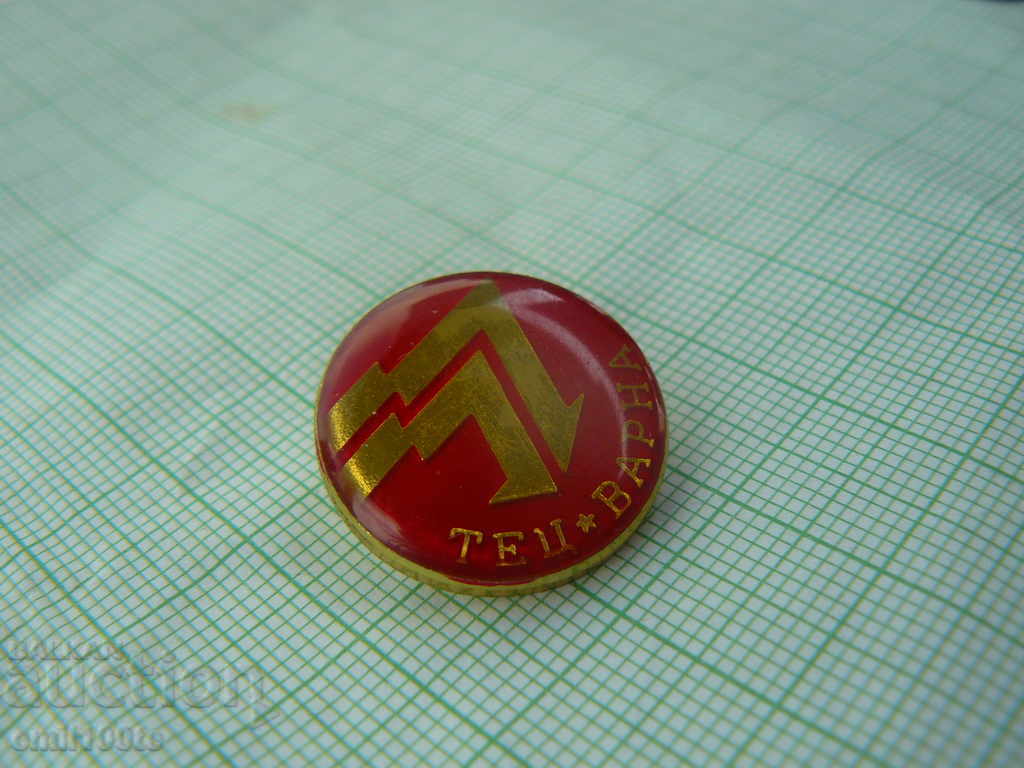 Auction Badge - TPP Varna Auction Badge - TPP Varna