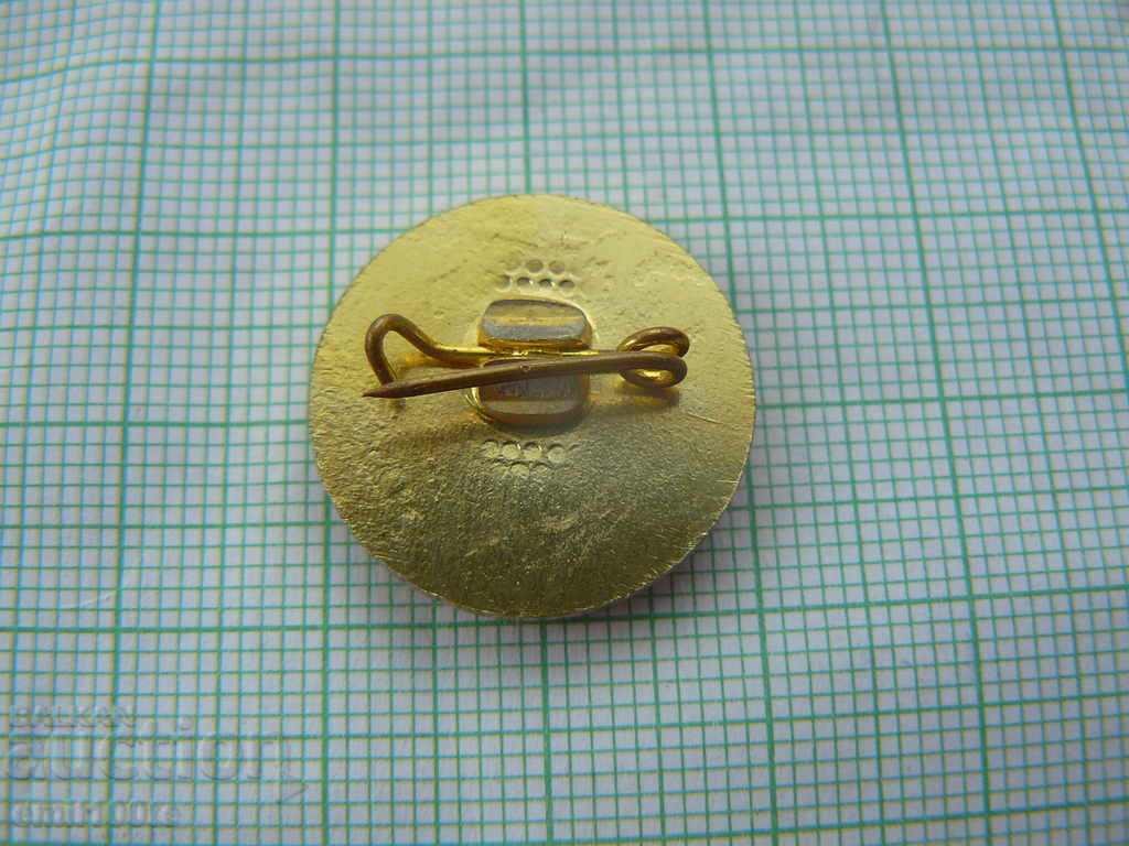 Delivery of Badge - TPP Varna Delivery of Badge - TPP Varna