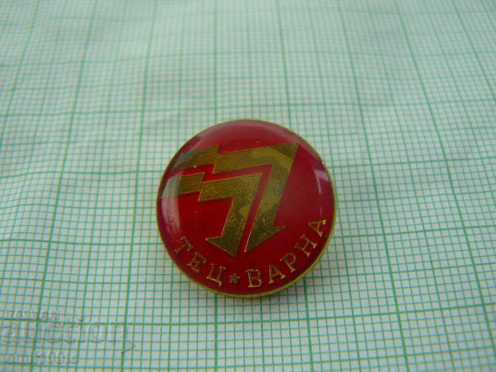 Badge - TPP Varna