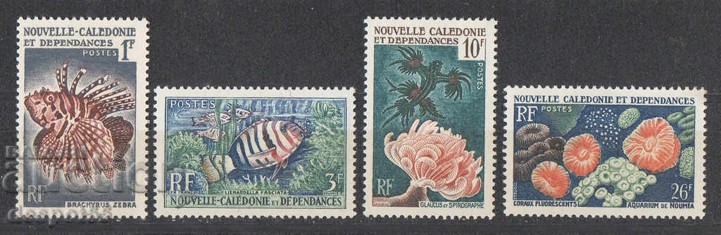 1959. Нова Каледония. Морски живот.