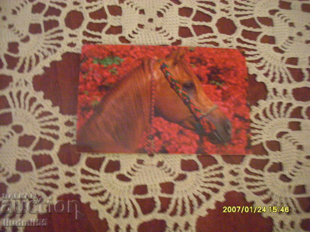 BULGARIA CALENDAR 2020