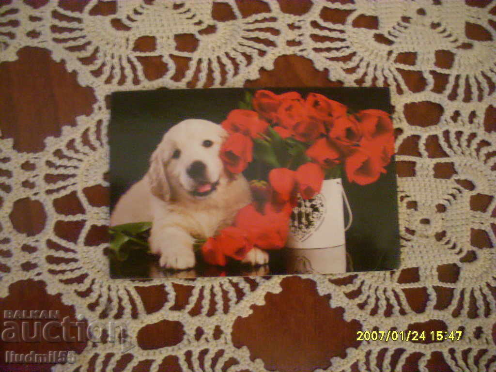 CALENDAR BULGARIA 2020