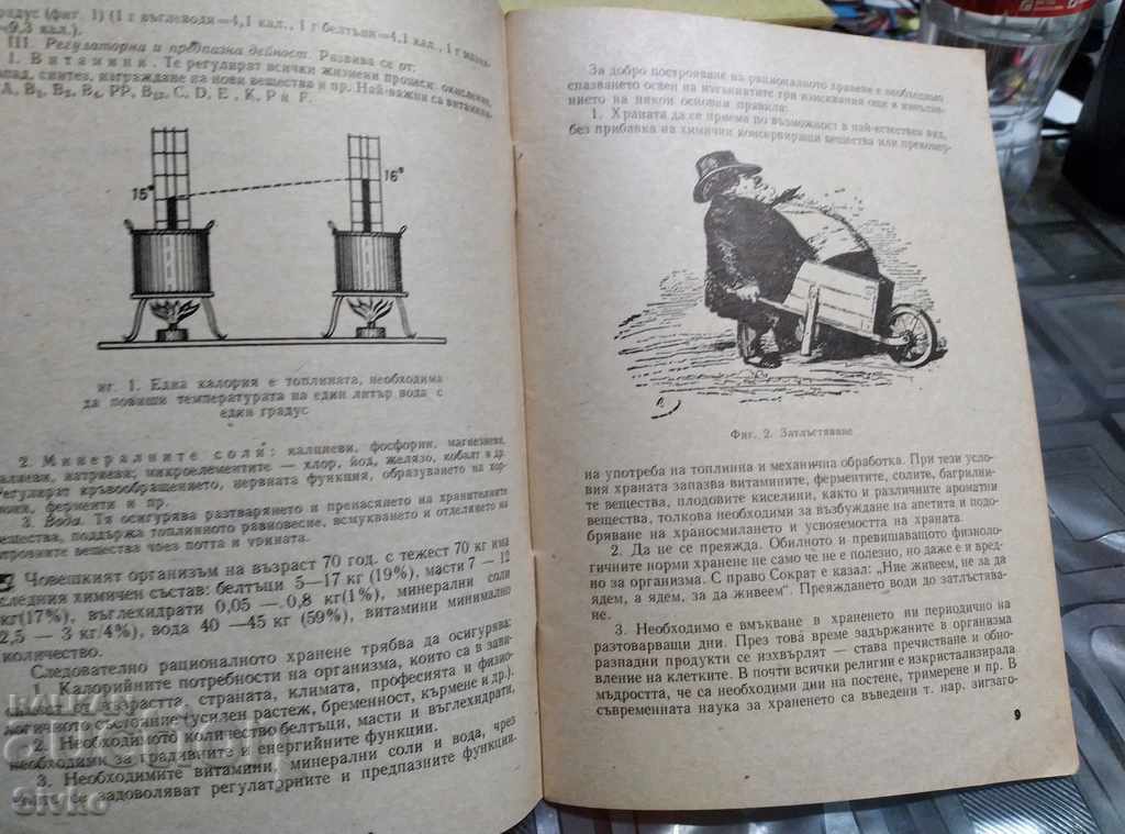 Delivery of How to eat properly Delivery of How to eat properly