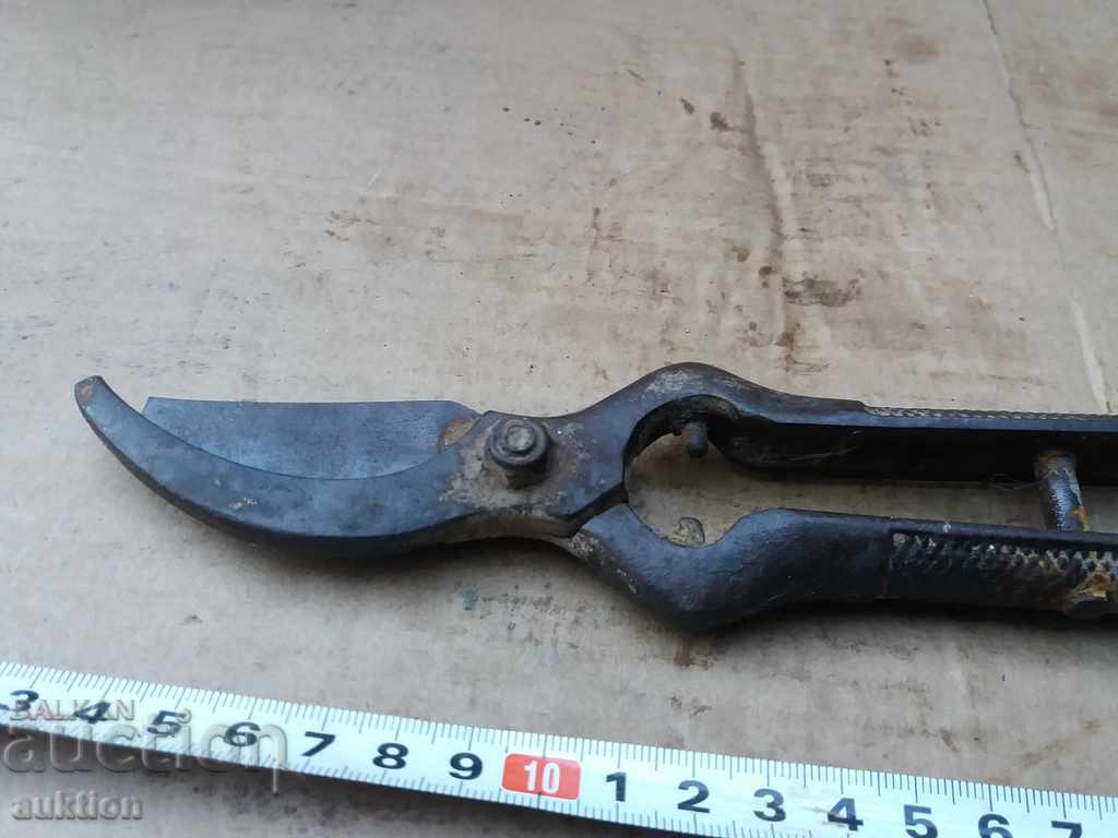 Delivery of OLD SOC. STEELED SCISSORS FOR CUTTING VINEYARDS, ASMI Delivery of OLD SOC. STEELED SCISSORS FOR CUTTING VINEYARDS, ASMI