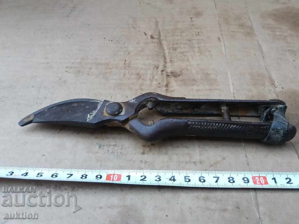 OLD SOC. STEELED SCISSORS FOR CUTTING VINEYARDS, ASMI - 6 OLD SOC. STEELED SCISSORS FOR CUTTING VINEYARDS, ASMI - 6