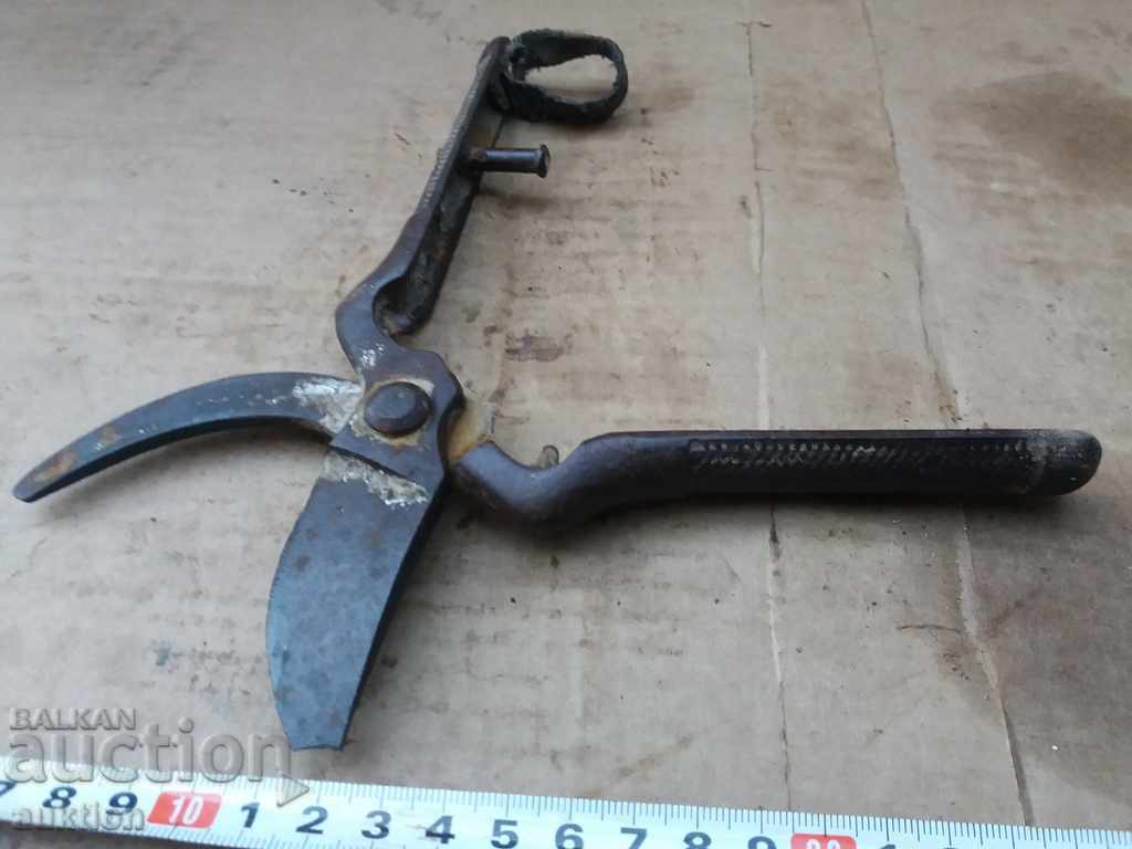 OLD SOC. STEELED SCISSORS FOR CUTTING VINEYARDS, ASMI - 7 OLD SOC. STEELED SCISSORS FOR CUTTING VINEYARDS, ASMI - 7