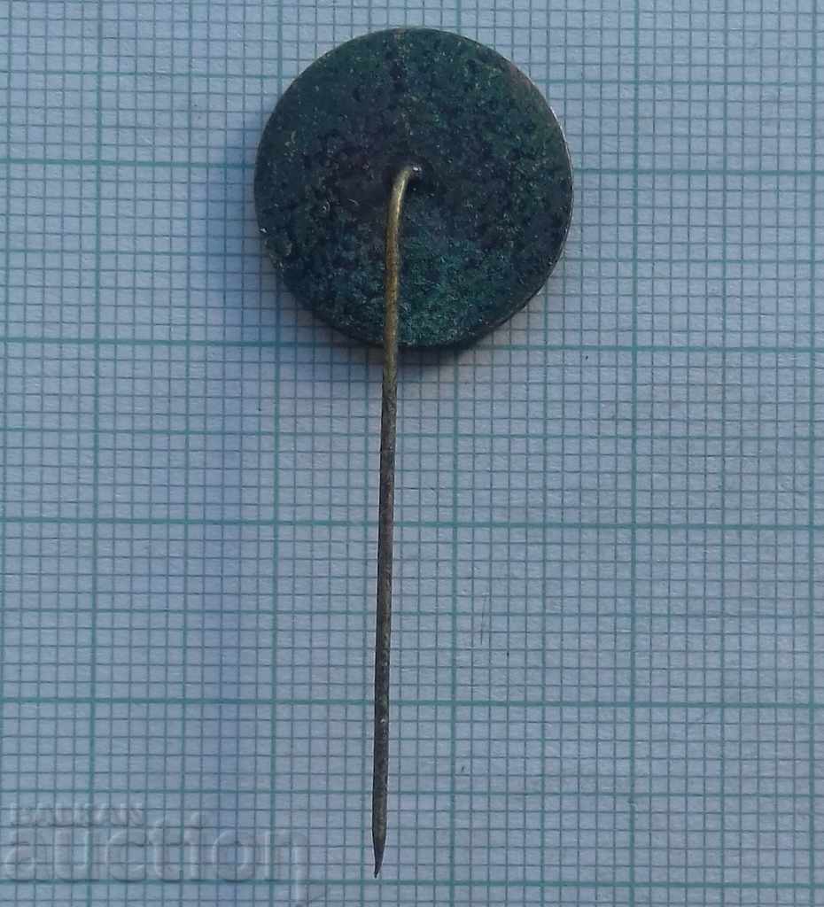 Auction 9584 Badges - Regional Review of TNTM Sofia Region Auction 9584 Badges - Regional Review of TNTM Sofia Region