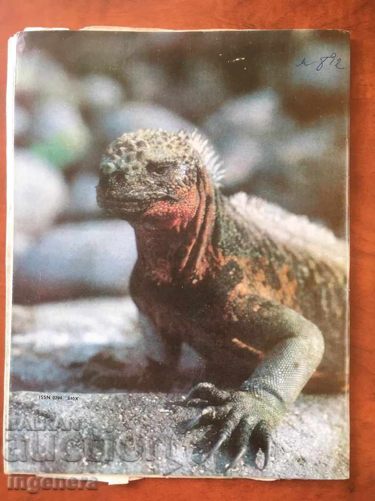 ΧΩΡΟΣ ΠΕΡΙΟΔΟΥ-2/1984 με τιμή 3.00 BGN | € 1.53 ΧΩΡΟΣ ΠΕΡΙΟΔΟΥ-2/1984 με τιμή 3.00 BGN | € 1.53