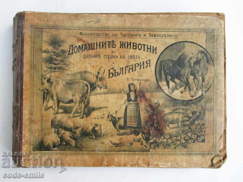 Old book almanac of animals Principality of Bulgaria 1901