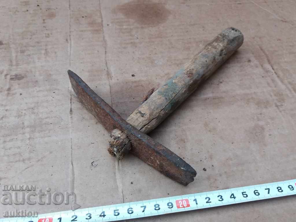 Delivery of OLD HORSES LOVE CHUCK Delivery of OLD HORSES LOVE CHUCK