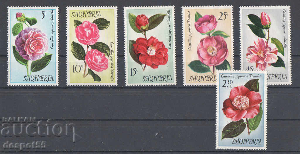 1972. Αλβανία. Λουλούδια - Καμέλιες.
