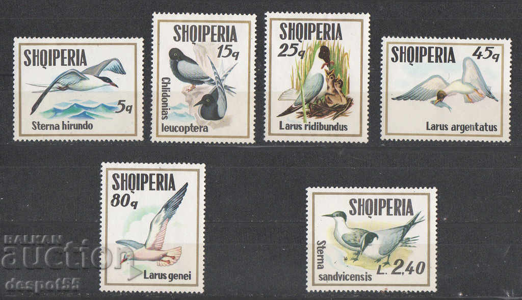 1973. Albania. Seabirds.