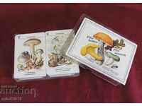 80's GDR 2 sets of Playing Cards - Mushrooms