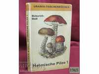 1965 GDR Catalog Mushrooms