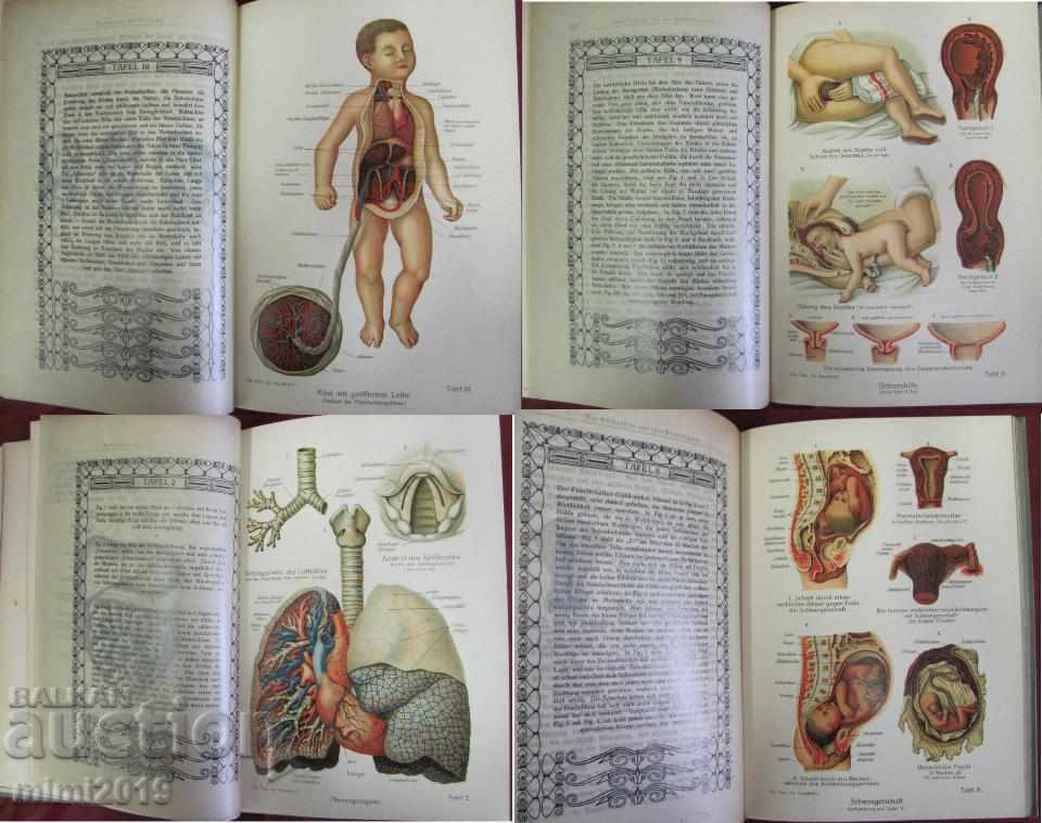 1911 Book Home Medicine Part 1 Anna Fischer - 5 1911 Book Home Medicine Part 1 Anna Fischer - 5