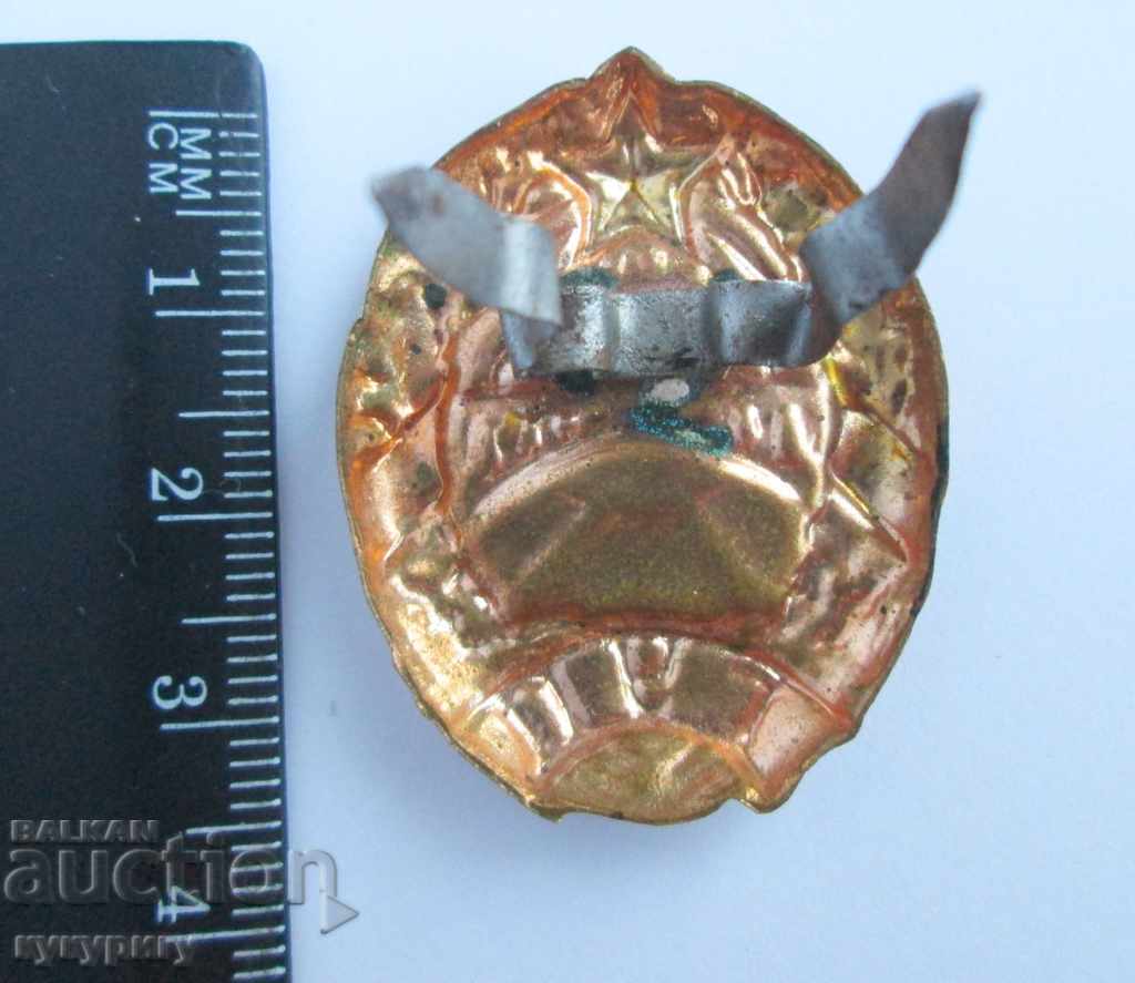 Delivery of People's Republic of Bulgaria rare cockade GUP General Directorate Roads wounded Soc Delivery of People's Republic of Bulgaria rare cockade GUP General Directorate Roads wounded Soc