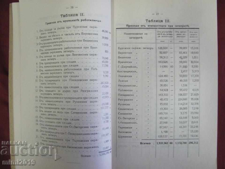 1930 Book Report Prisons in the Kingdom of Bulgaria - 6