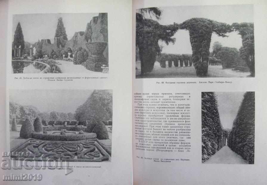 Auction  1960 Book Decorative Dendrology Russia rare