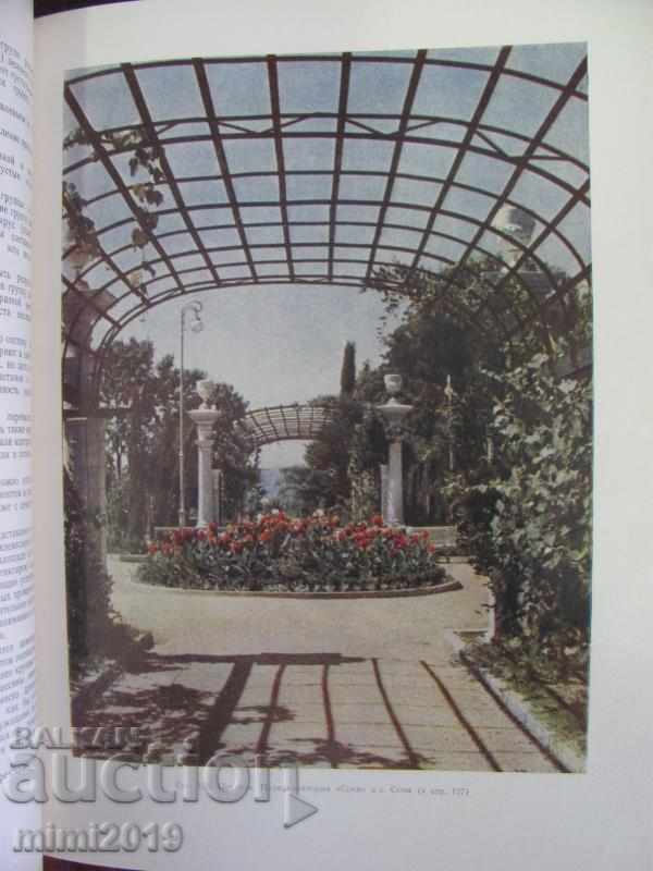 1960 Book Decorative Dendrology Russia rare - 7