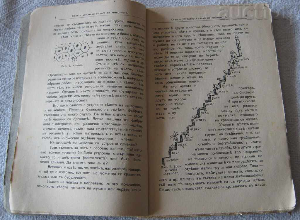 THE SOUL OF ANIMALS AND HUMANS LUBOCKI 1929 ESOTERIC with price 19.00 BGN | € 9.71 THE SOUL OF ANIMALS AND HUMANS LUBOCKI 1929 ESOTERIC with price 19.00 BGN | € 9.71