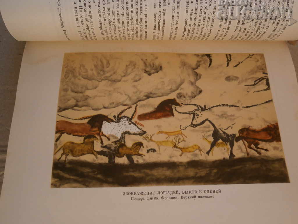 Auction world history 1956 USSR Auction world history 1956 USSR