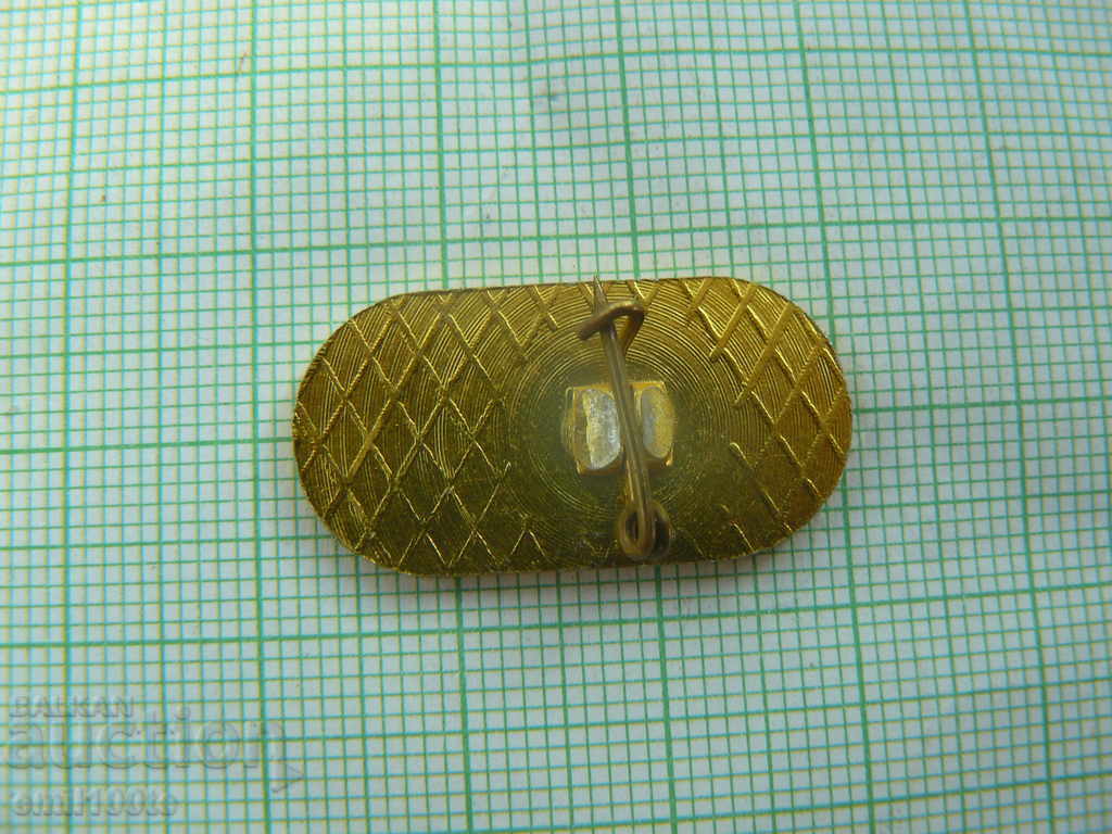 Delivery of Badge - 100g. Polytechnic High School Dobri Chintulov Sliven Delivery of Badge - 100g. Polytechnic High School Dobri Chintulov Sliven