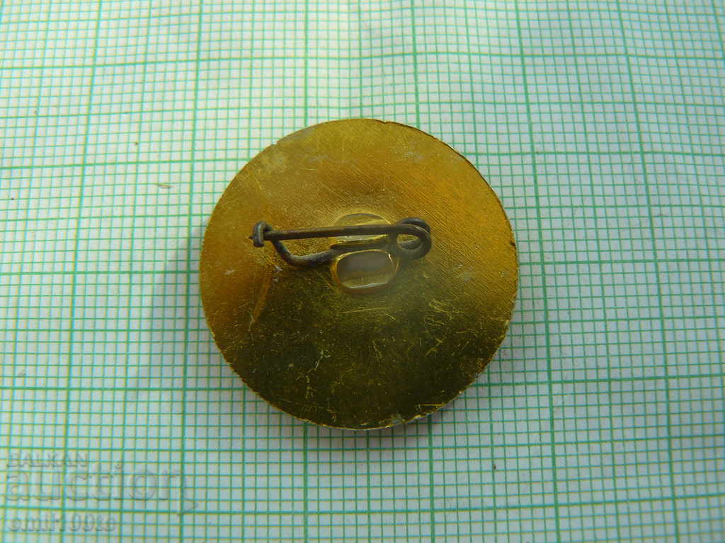 Значка- Враца герб - 5 Значка- Враца герб - 5