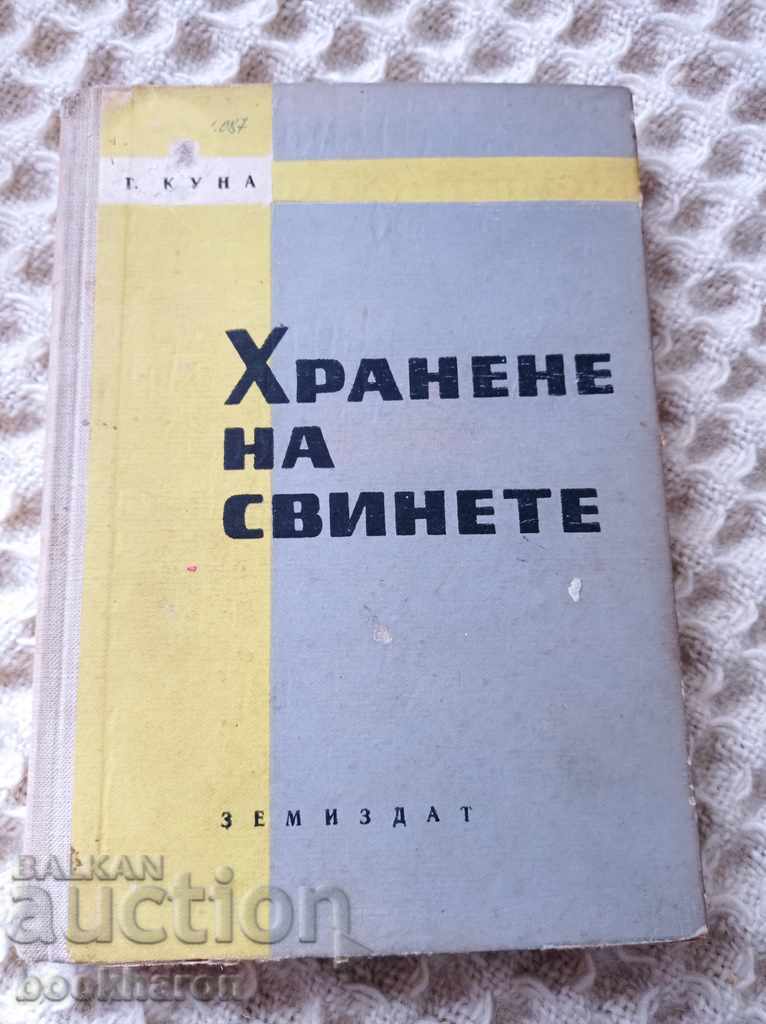 T. Kuna: Pig Feeding