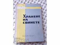 Т.Куна: Хранене на свинете