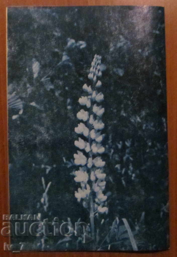 СПИСАНИЕ "ПЧЕЛАРСТВО" - БРОЙ 9,1986 година - 5 СПИСАНИЕ "ПЧЕЛАРСТВО" - БРОЙ 9,1986 година - 5