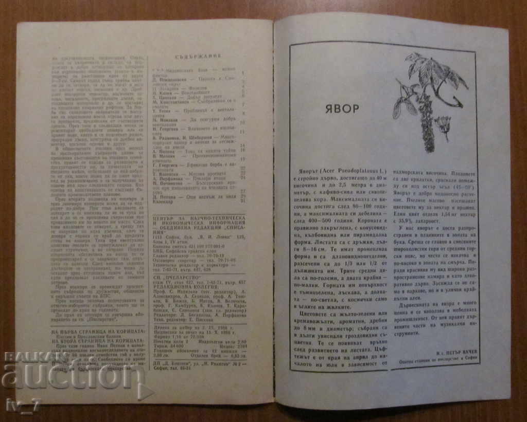 REVISTA „APICULTURĂ” - NUMĂRUL 10,1986 - 6 REVISTA „APICULTURĂ” - NUMĂRUL 10,1986 - 6