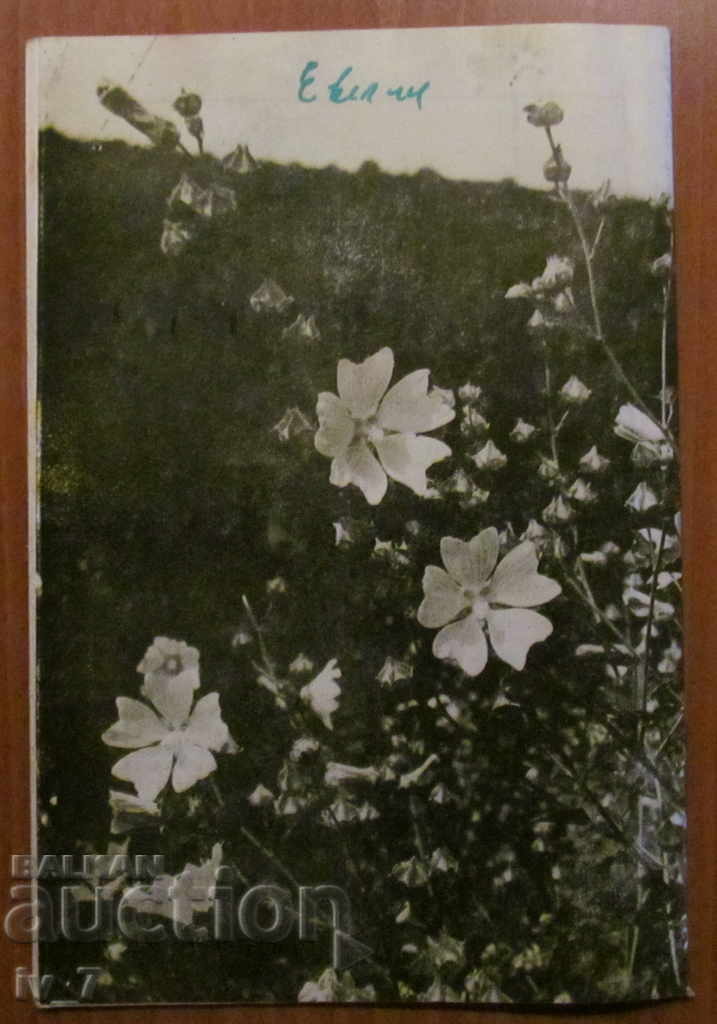 REVISTA „APICULTURĂ” - NUMĂRUL 10,1986 - 7 REVISTA „APICULTURĂ” - NUMĂRUL 10,1986 - 7