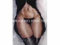 Еротично изкуство