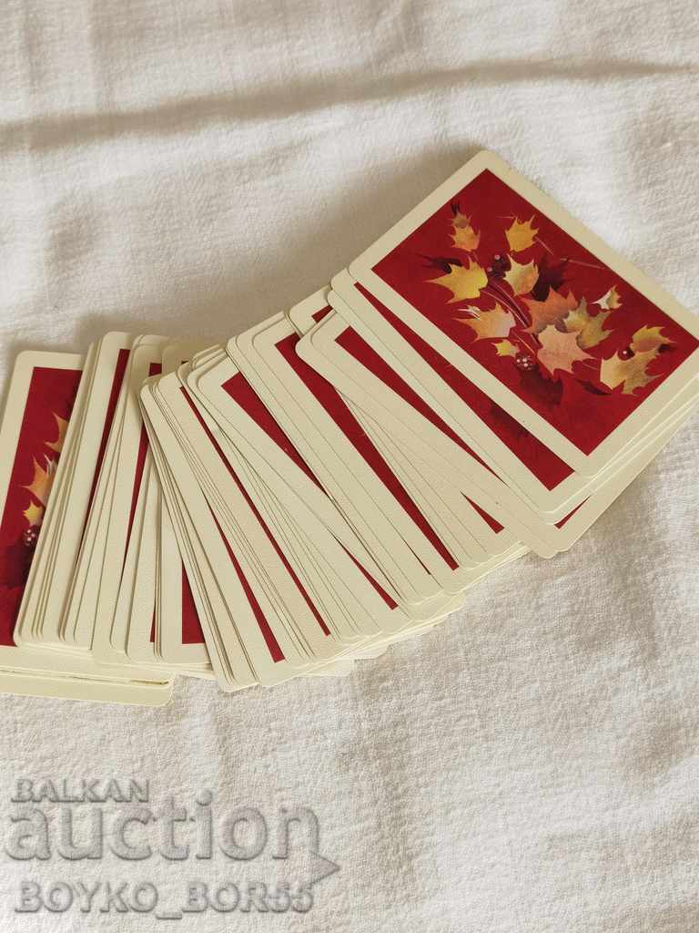 Livrarea Cutie veche de cărți elvețiene pentru a juca cu o punte Livrarea Cutie veche de cărți elvețiene pentru a juca cu o punte