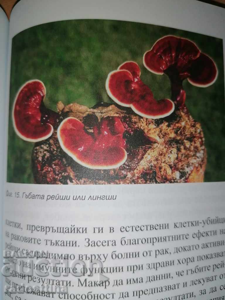 Growing Old Slowly is an Art - Dimitar Chavdarov - 7