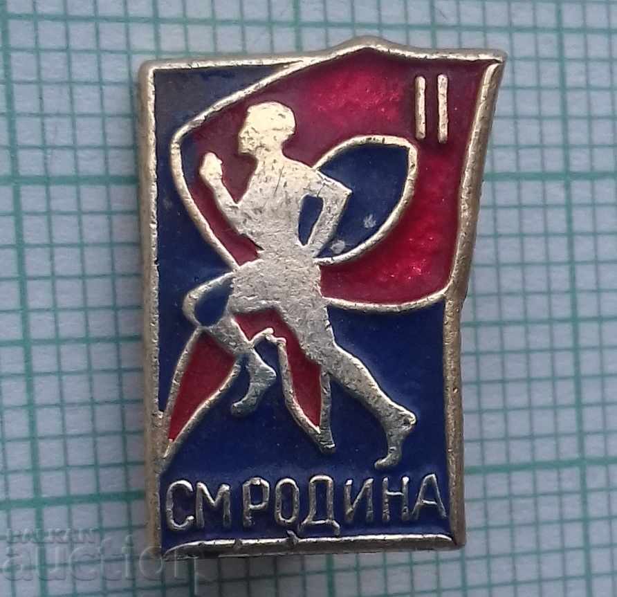 9854 Badge - CM Rodina