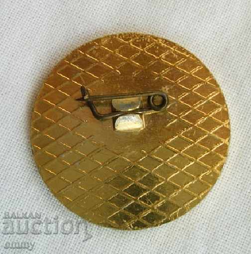 Badge metallurgical plant MK Lenin Pernik 1953-1978 25 with price 2.00 BGN | € 1.02 Badge metallurgical plant MK Lenin Pernik 1953-1978 25 with price 2.00 BGN | € 1.02