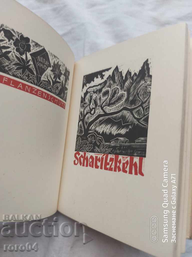 FRITZ RISHTER - ΓΡΑΦΗΚΑ - 5 FRITZ RISHTER - ΓΡΑΦΗΚΑ - 5