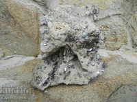 Stone crystal rock fossil