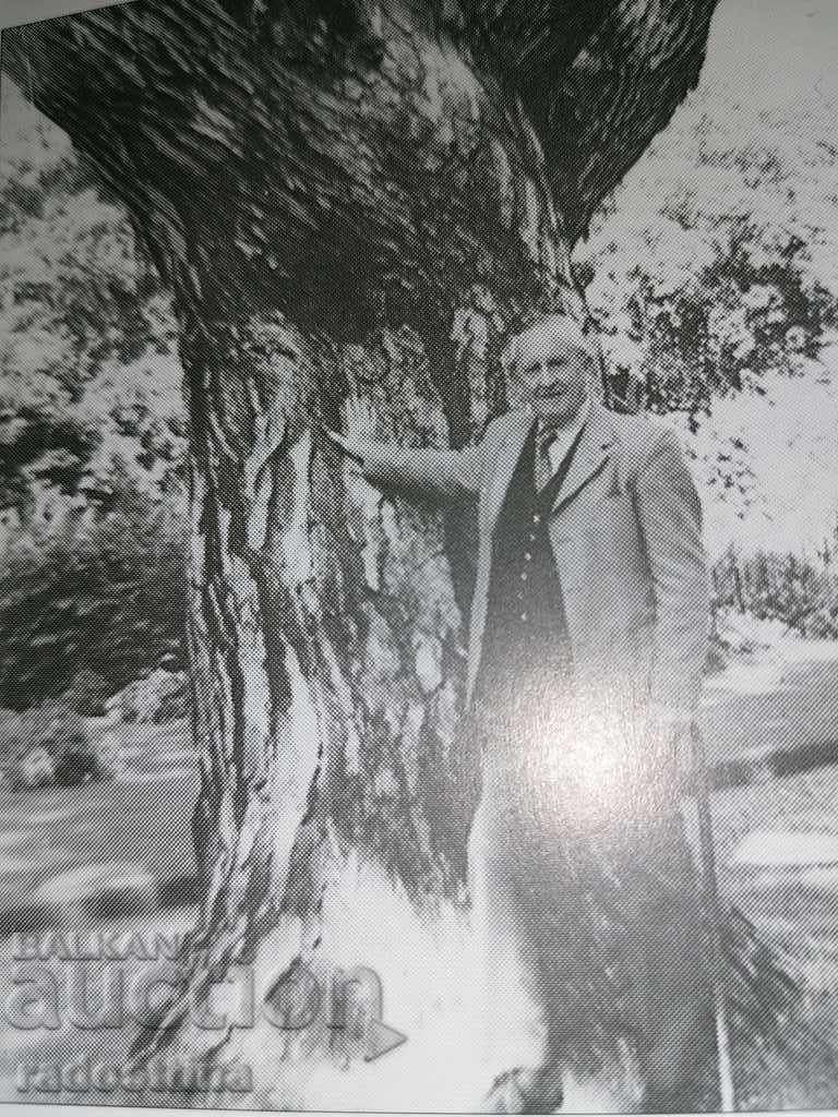 J.R.R. Tolkien Biography by Humphrey Carpenter - 6