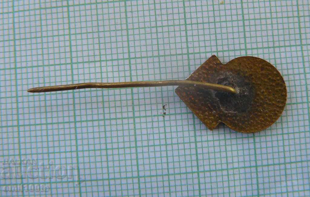 Delivery of Badge - Diana Sports Complex