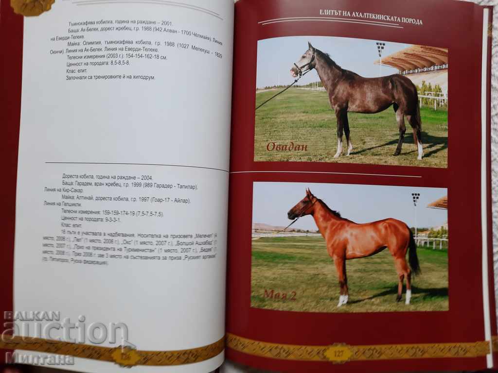 Ο άνθρωπος Akhal-Teke - το καμάρι και η δόξα μας - Gurbanguly Berdimuham - 6 Ο άνθρωπος Akhal-Teke - το καμάρι και η δόξα μας - Gurbanguly Berdimuham - 6