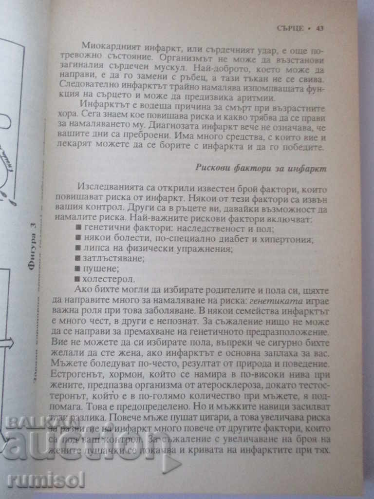 Auction Let's grow healthy - Mark Beares, Steven Jurass Auction Let's grow healthy - Mark Beares, Steven Jurass