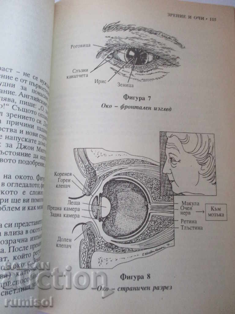 Delivery of Let's grow healthy - Mark Beares, Steven Jurass Delivery of Let's grow healthy - Mark Beares, Steven Jurass