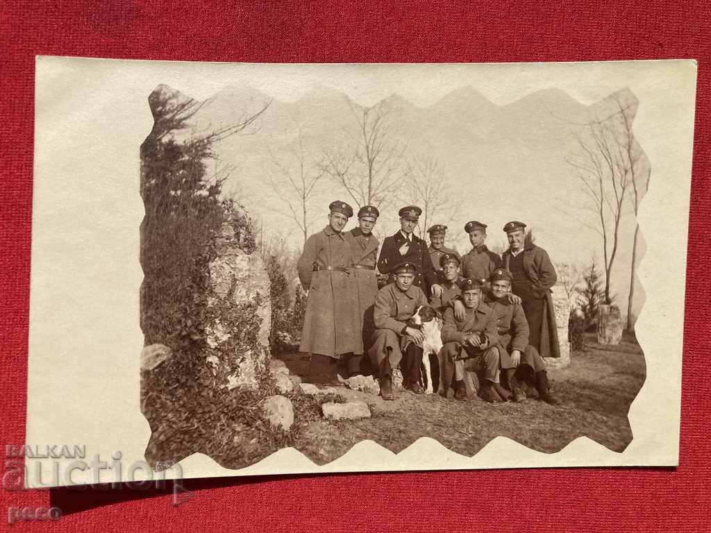 Auction  Sailors with a dog in the sea garden Platoon. commander 1921