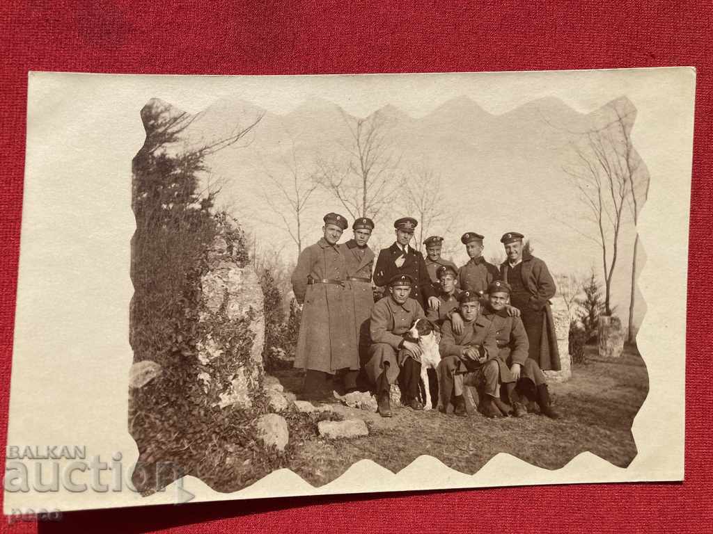 Delivery of Sailors with a dog in the sea garden Platoon. commander 1921