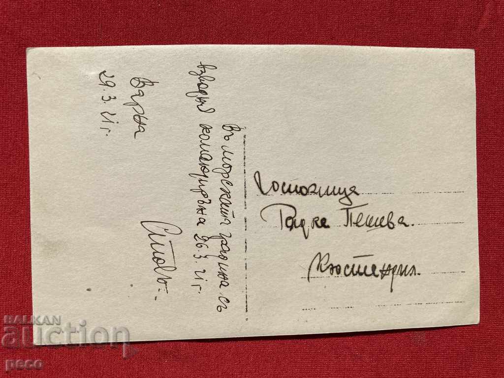 Sailors with a dog in the sea garden Platoon. commander 1921 - 5